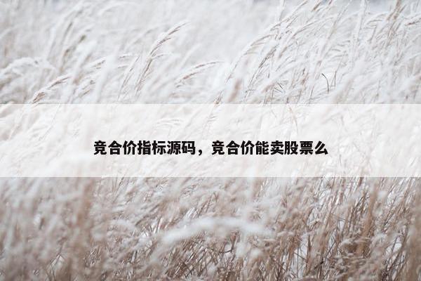 竞合价指标源码，竞合价能卖股票么
