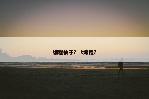 编程柚子？ t编程？