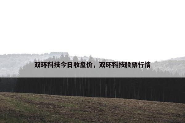 双环科技今日收盘价，双环科技股票行情