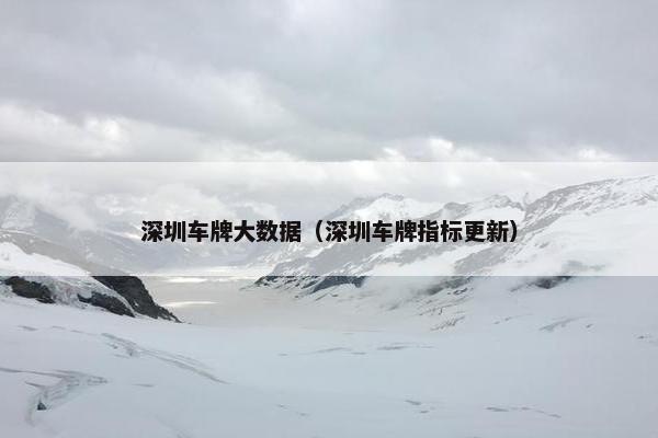 深圳车牌大数据（深圳车牌指标更新）