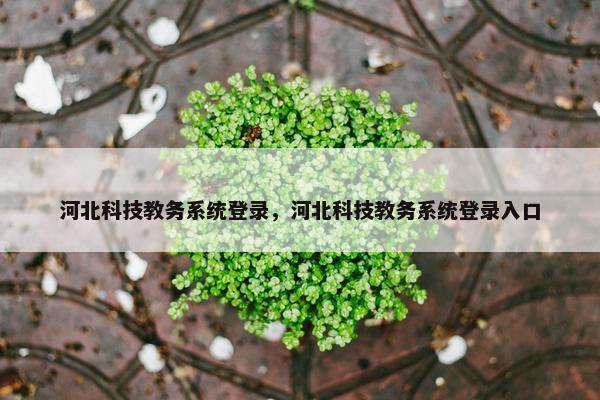 河北科技教务系统登录，河北科技教务系统登录入口