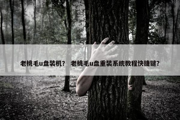 老桃毛u盘装机？ 老桃毛u盘重装系统教程快捷键？