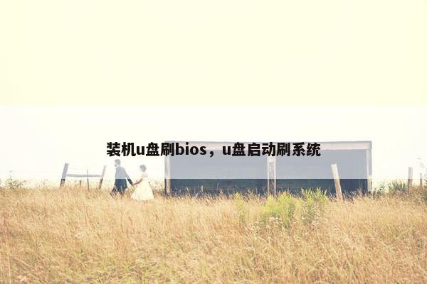 装机u盘刷bios，u盘启动刷系统