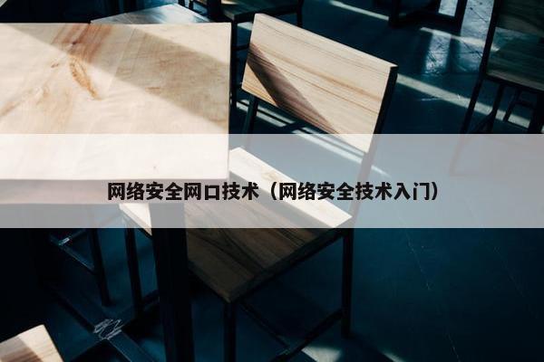 网络安全网口技术（网络安全技术入门）