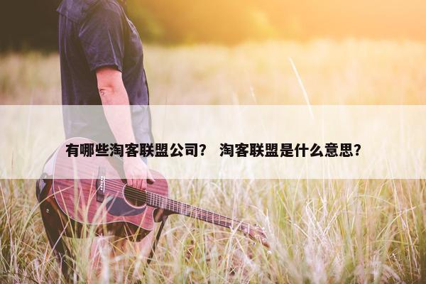 有哪些淘客联盟公司？ 淘客联盟是什么意思？