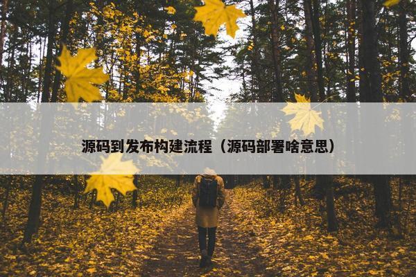 源码到发布构建流程（源码部署啥意思）