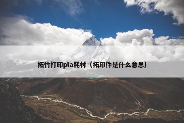 拓竹打印pla耗材（拓印件是什么意思）