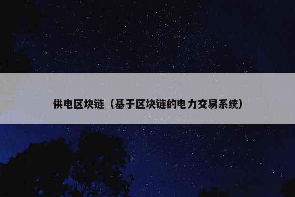 供电区块链（基于区块链的电力交易系统）