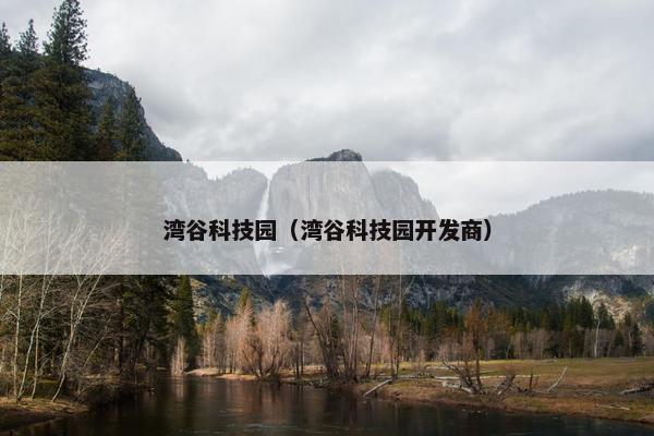 湾谷科技园（湾谷科技园开发商）