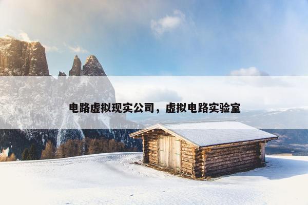 电路虚拟现实公司，虚拟电路实验室