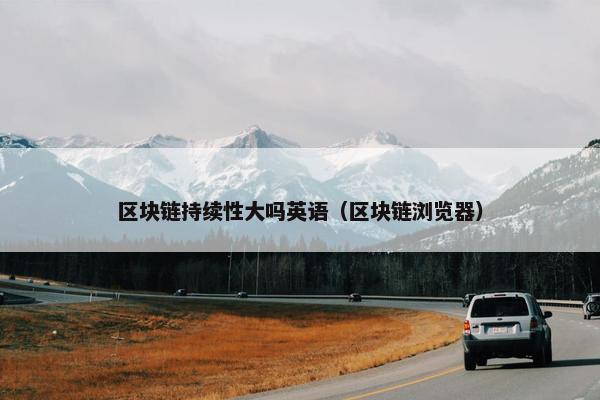 区块链持续性大吗英语（区块链浏览器）