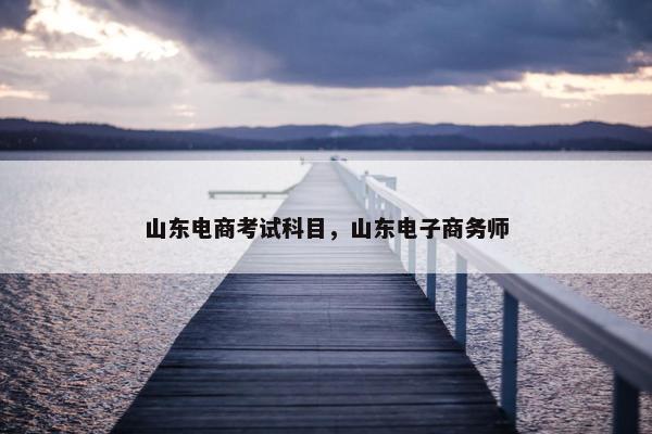 山东电商考试科目，山东电子商务师