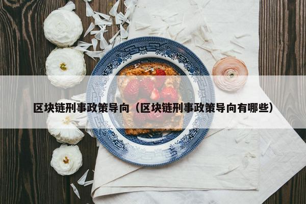 区块链刑事政策导向（区块链刑事政策导向有哪些）