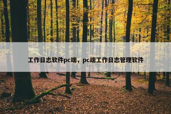 工作日志软件pc端，pc端工作日志管理软件