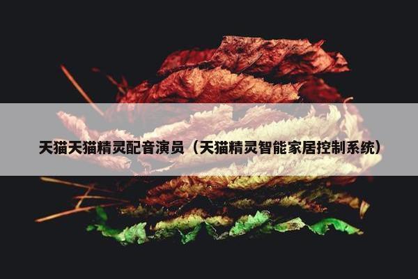 天猫天猫精灵配音演员（天猫精灵智能家居控制系统）
