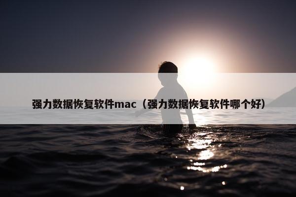 强力数据恢复软件mac（强力数据恢复软件哪个好）