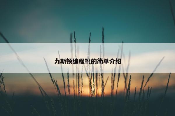 力斯顿编程靴的简单介绍