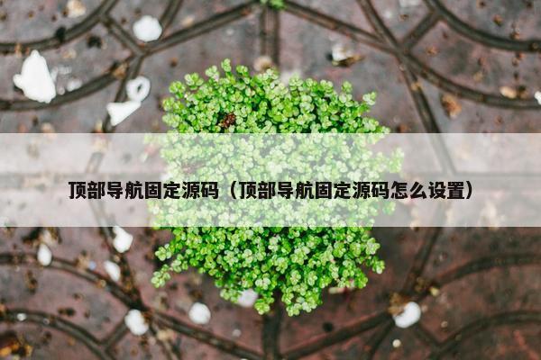 顶部导航固定源码（顶部导航固定源码怎么设置）