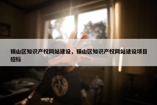 锡山区知识产权网站建设，锡山区知识产权网站建设项目招标
