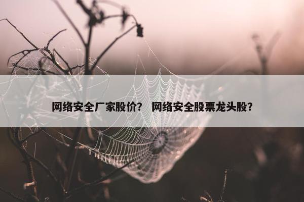 网络安全厂家股价？ 网络安全股票龙头股？
