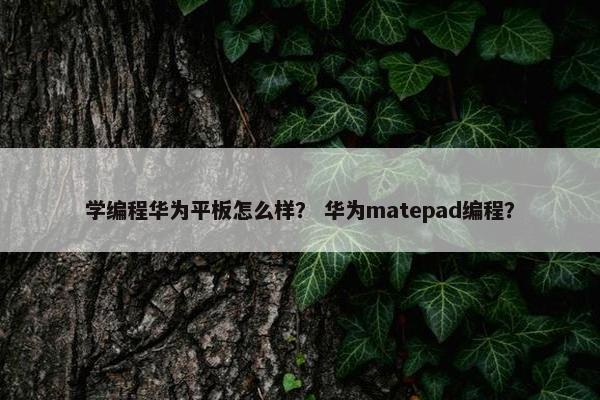 学编程华为平板怎么样？ 华为matepad编程？