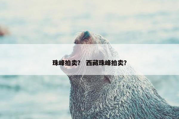 珠峰拍卖？ 西藏珠峰拍卖？