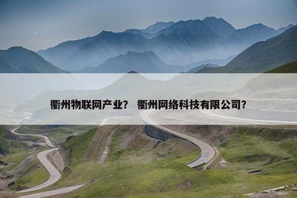 衢州物联网产业？ 衢州网络科技有限公司？