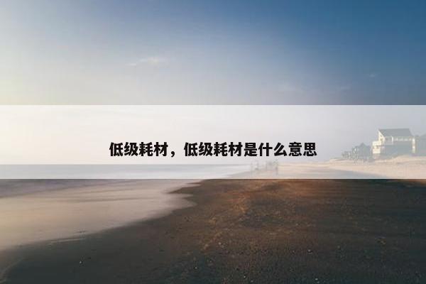 低级耗材，低级耗材是什么意思