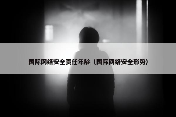 国际网络安全责任年龄（国际网络安全形势）