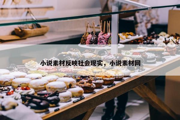 小说素材反映社会现实，小说素材网
