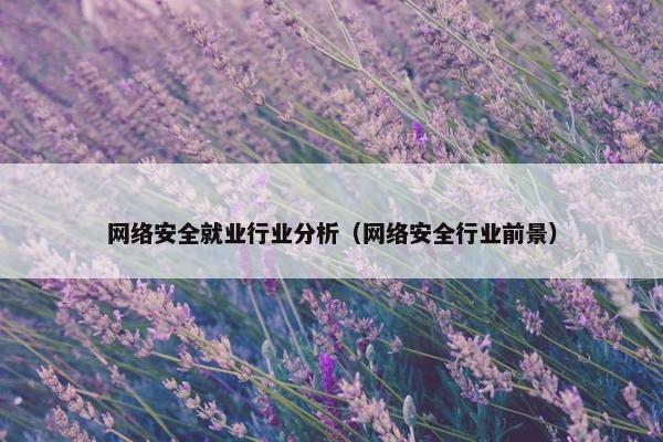 网络安全就业行业分析（网络安全行业前景）