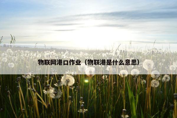 物联网港口作业（物联港是什么意思）
