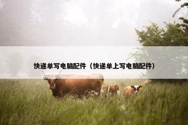 快递单写电脑配件（快递单上写电脑配件）