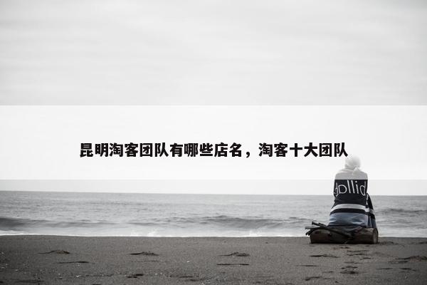 昆明淘客团队有哪些店名，淘客十大团队