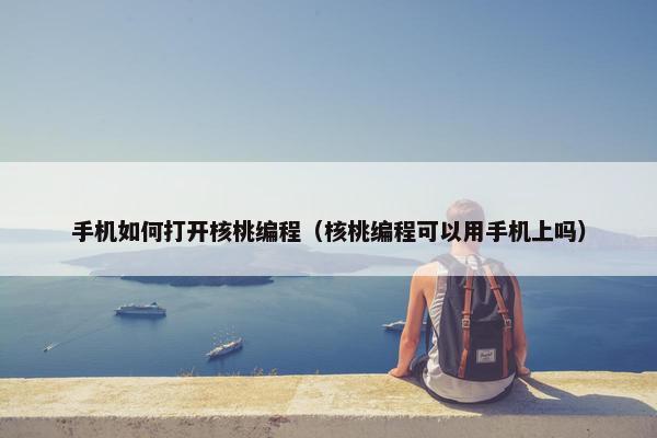 手机如何打开核桃编程（核桃编程可以用手机上吗）
