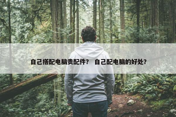 自己搭配电脑贵配件？ 自己配电脑的好处？