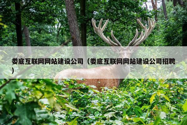 娄底互联网网站建设公司（娄底互联网网站建设公司招聘）