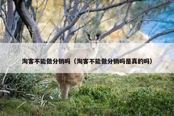 淘客不能做分销吗（淘客不能做分销吗是真的吗）