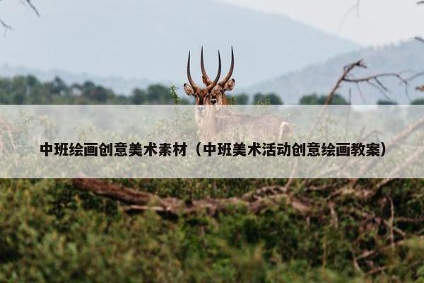 中班绘画创意美术素材（中班美术活动创意绘画教案）