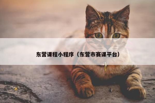 东营课程小程序（东营市赛课平台）