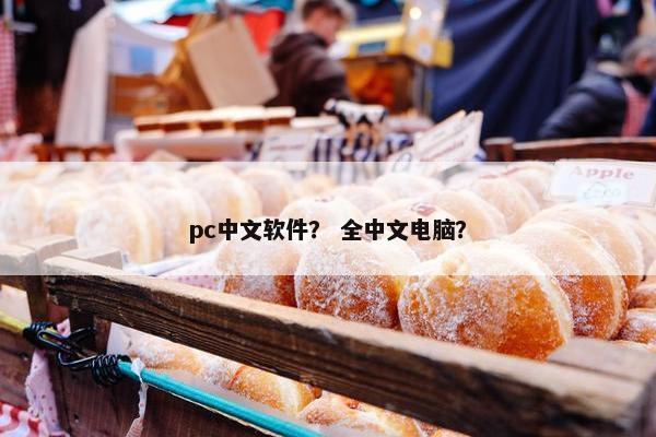 pc中文软件？ 全中文电脑？