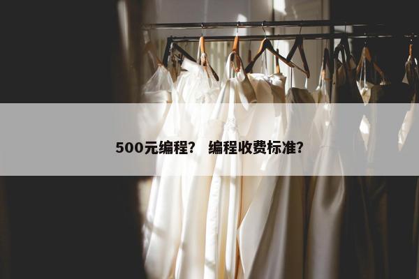 500元编程？ 编程收费标准？
