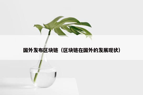 国外发布区块链（区块链在国外的发展现状）