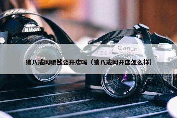 猪八戒网赚钱要开店吗（猪八戒网开店怎么样）