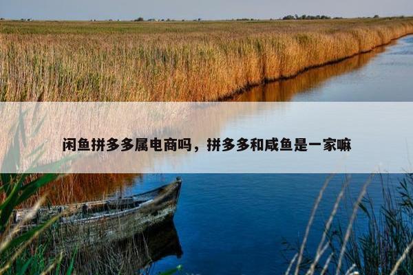闲鱼拼多多属电商吗，拼多多和咸鱼是一家嘛