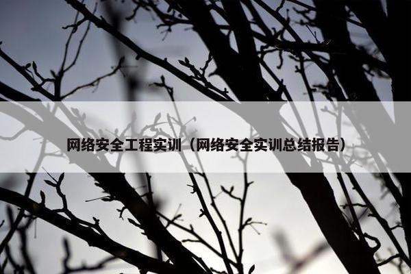 网络安全工程实训（网络安全实训总结报告）
