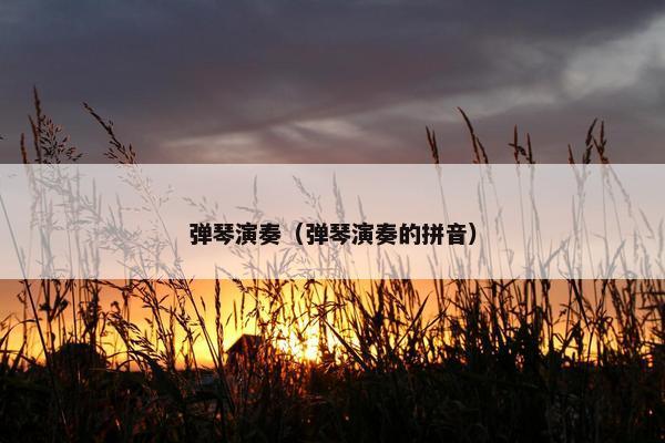 弹琴演奏（弹琴演奏的拼音）
