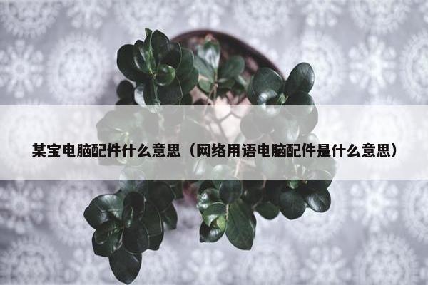 某宝电脑配件什么意思（网络用语电脑配件是什么意思）