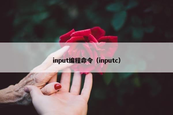 input编程命令（inputc）
