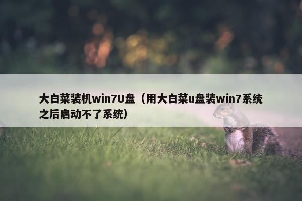 大白菜装机win7U盘（用大白菜u盘装win7系统之后启动不了系统）